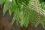 2011-11-13_16-05-19_DSC_7346.jpg