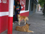 2011-11-14_17-23-59_IMGP2367.jpg