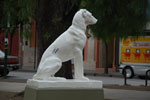 2011-11-15_13-23-45_DSC_7388.jpg