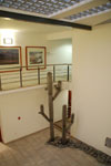 2011-11-15_14-25-16_DSC_7415.jpg