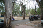 2011-11-15_16-23-46_DSC_7440.jpg
