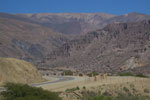 2011-11-16_10-59-40_DSC_7501.jpg