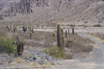 2011-11-16_11-00-29_DSC_7502.jpg