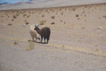 2011-11-16_12-14-15_DSC_7563.jpg
