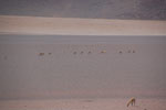 2011-11-16_15-50-15_DSC_7603.jpg