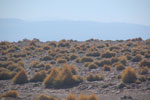 2011-11-16_16-45-04_DSC_7616.jpg