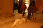 2011-11-17_22-31-00_DSC_7651.jpg