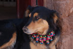 2011-11-19_14-00-44_DSC_7675.jpg