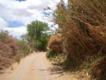 2011-11-20_13-45-56_IMGP2548.jpg