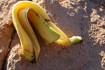2011-11-20_19-23-55_DSC_7932.jpg