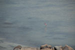 2011-11-21_11-22-18_DSC_8102.jpg