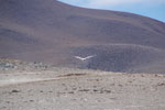 2011-11-21_11-37-51_DSC_8139.jpg