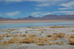 2011-11-21_12-33-32_DSC_8186.jpg