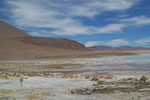 2011-11-21_12-33-42_DSC_8188.jpg