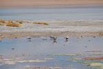 2011-11-21_12-36-32_DSC_8192.jpg