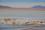 2011-11-21_13-05-01_DSC_8194.jpg