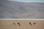 2011-11-21_17-21-45_DSC_8265.jpg