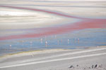 2011-11-21_17-33-14_DSC_8279.jpg