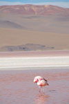 2011-11-21_17-36-09_DSC_8289.jpg