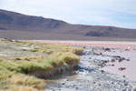 2011-11-21_17-36-29_DSC_8291.jpg