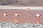 2011-11-21_17-38-49_DSC_8304.jpg