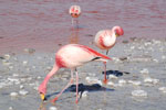 2011-11-21_17-39-51_DSC_8312.jpg