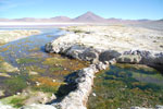 2011-11-21_17-45-28_DSC_8322.jpg
