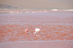 2011-11-21_17-47-19_DSC_8330.jpg