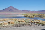 2011-11-21_17-47-46_DSC_8331.jpg