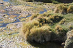 2011-11-21_17-49-31_DSC_8349.jpg