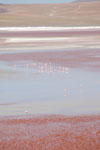 2011-11-21_17-51-45_DSC_8353.jpg