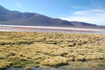2011-11-21_18-00-26_DSC_8373.jpg