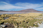 2011-11-21_18-06-25_DSC_8405.jpg