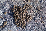 2011-11-21_18-07-35_DSC_8416.jpg