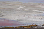 2011-11-22_09-09-52_DSC_8441.jpg