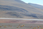 2011-11-22_09-15-38_DSC_8447.jpg