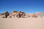 2011-11-22_09-42-12_DSC_8455.jpg