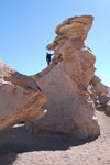 2011-11-22_09-47-16_DSC_8466.jpg