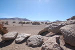 2011-11-22_09-47-44_DSC_8468.jpg