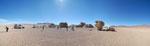 2011-11-22_09-55-33_DSC_8495-pan.jpg
