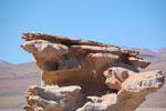 2011-11-22_09-58-46_DSC_8507.jpg