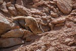 2011-11-22_10-58-44_DSC_8540.jpg