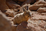 2011-11-22_10-59-09_DSC_8544.jpg