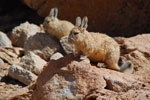 2011-11-22_11-00-30_DSC_8547.jpg
