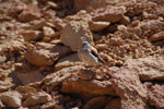 2011-11-22_11-00-57_DSC_8548.jpg
