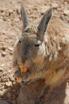 2011-11-22_11-04-37_DSC_8558.jpg