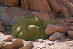 2011-11-22_11-06-58_DSC_8564.jpg