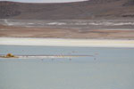2011-11-22_11-37-36_DSC_8599.jpg