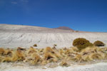 2011-11-22_11-38-25_DSC_8601.jpg