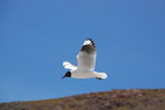 2011-11-22_11-49-40_DSC_8611.jpg